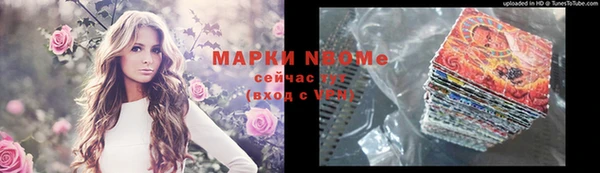 apvp Алексин
