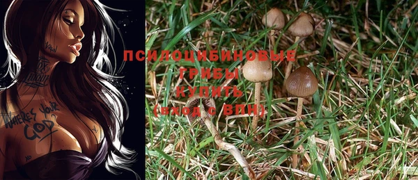прущий лед Алексеевка