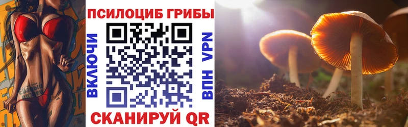 Псилоцибиновые грибы Cubensis  купить наркоту  omg маркетплейс  Холм 